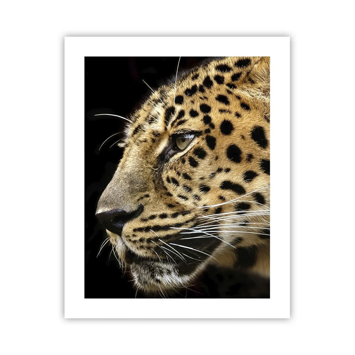 Poster - Calmo, concentrato, pronto - 40x50 cm