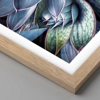Rovere chiaro