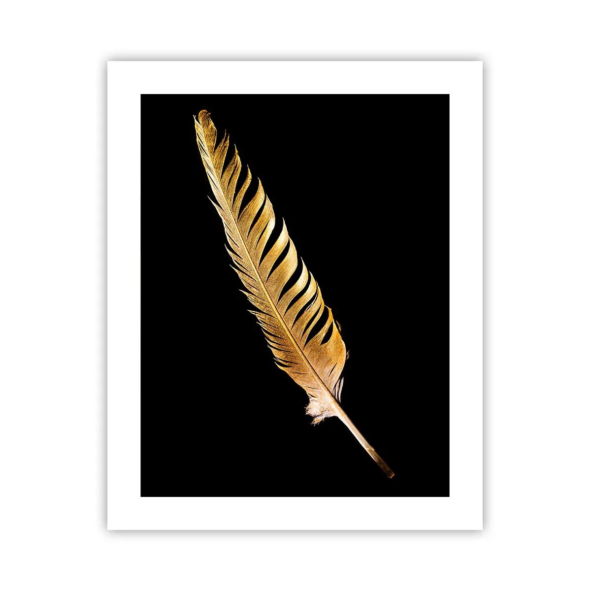 Poster - Non una piuma qualsiasi.... - 40x50 cm