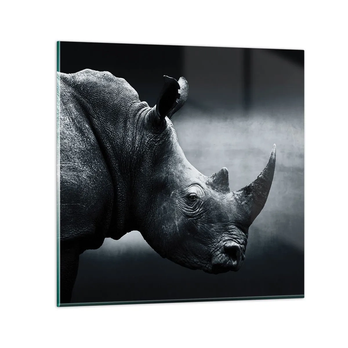 Quadro su vetro - Profilo destro - 70x70 cm