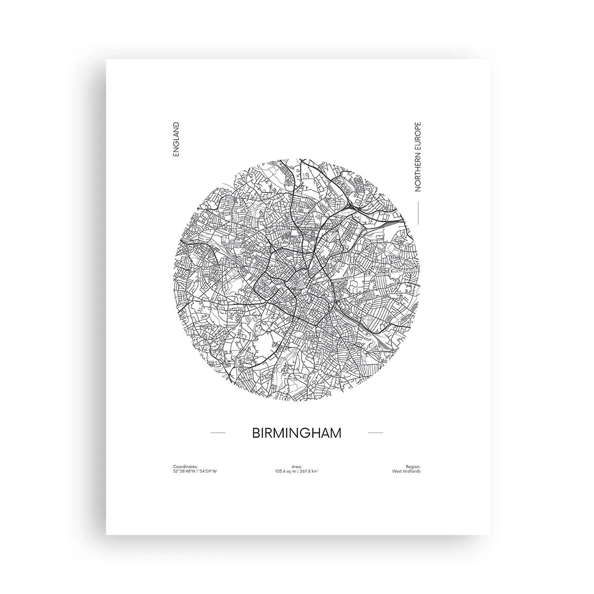 Poster - Anatomia di Birmingham - 40x50 cm