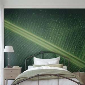 Fotomurali Premium Canvas - Una foglia verde con gocce d'acqua sulla sua superficie - 100x70cm - La struttura del verde - Decorazione murale moderna per soggiorno e camera da letto ARTTOR