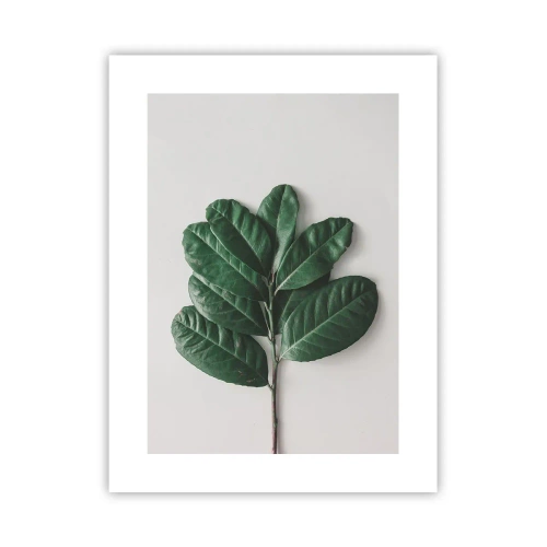 Poster - Il disegno della natura stessa - 30x40 cm