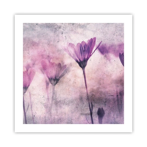Poster - Il sogno dei fiori - 50x50 cm