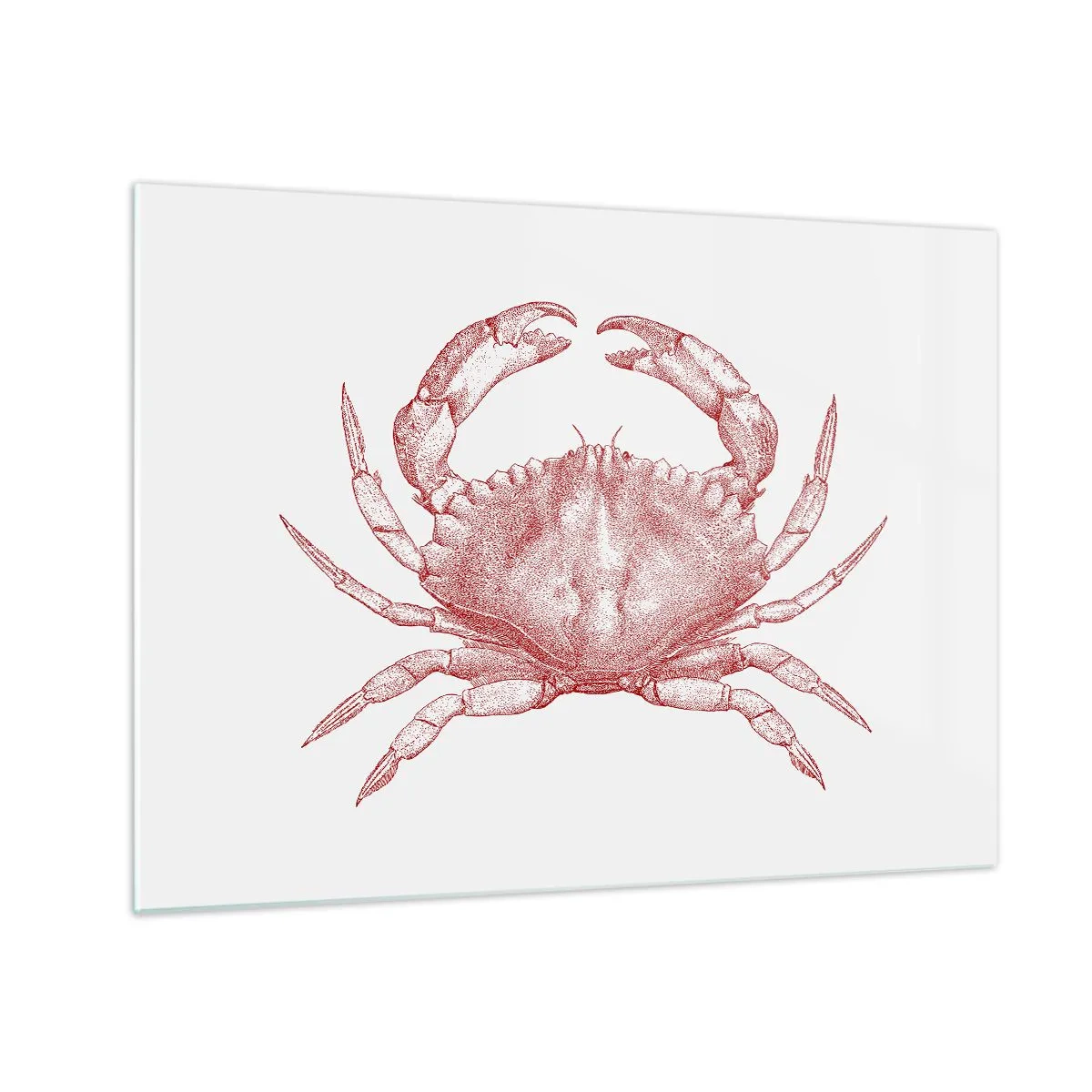 Quadro su vetro - Schizzo di un granchio rosso su uno sfondo chiaro in stile retrò - 70x50cm - Il granchio dei granchi - Decorazione murale moderna per soggiorno e camera da letto ARTTOR