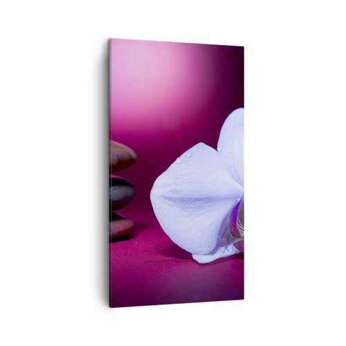 Quadro su tela - Stampe su Tela - Studio di freschezza in viola - 45x80 cm