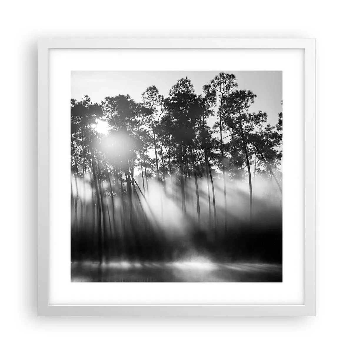 Poster in cornice bianca - Sole irrefrenabile - 40x40 cm