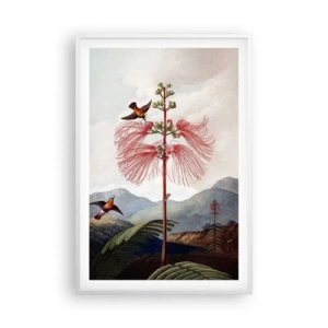 Poster in cornice bianca - Nel paradiso tropicale - 61x91 cm