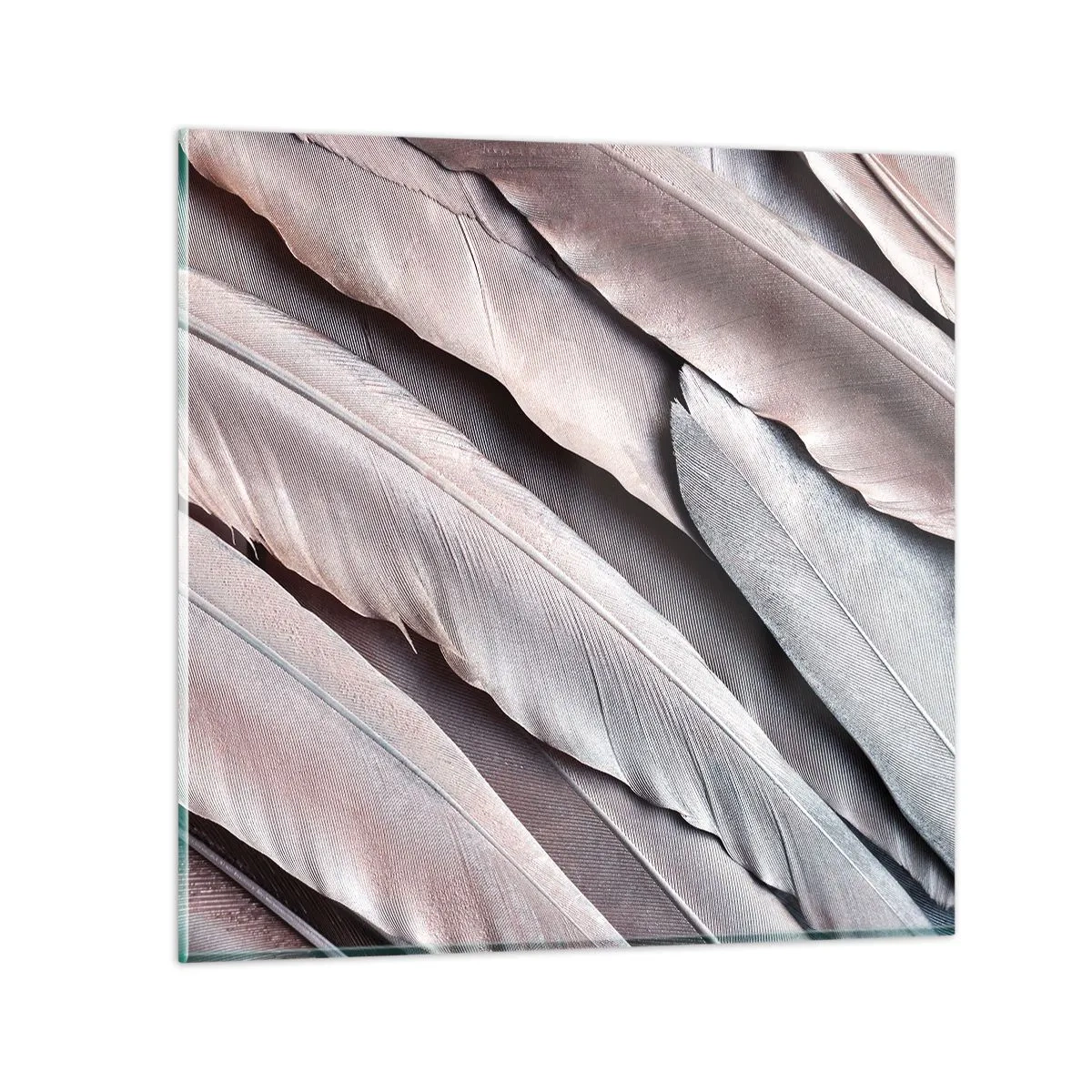 Quadro su vetro - Argento rosato - 40x40 cm