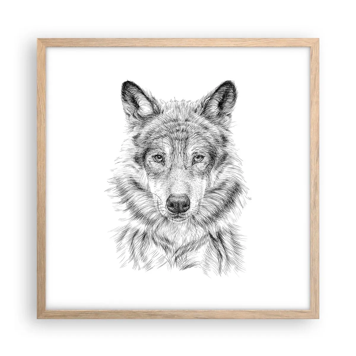 Poster in cornice rovere chiaro - Condottiero nato - 50x50 cm