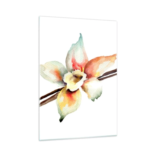 Quadro su vetro - Illustrazione ad acquerello di un fiore di vaniglia su sfondo bianco - 50x70cm - Dolcezza versata con la vernice - Decorazione murale moderna per soggiorno e camera da letto ARTTOR