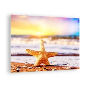 Quadro su vetro - Stelle marine sulla spiaggia alla luce del sole al tramonto - 70x50cm - Regalo del mare - Decorazione murale moderna per soggiorno e camera da letto ARTTOR