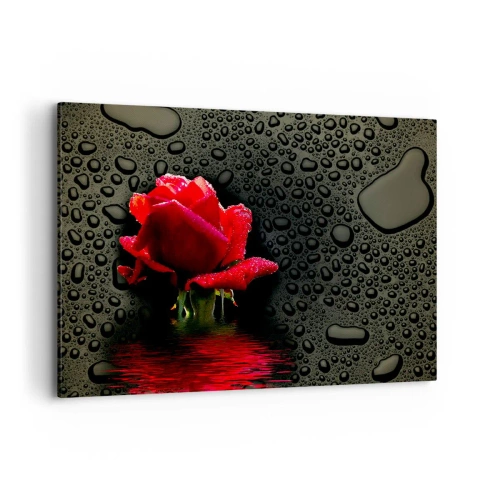 Quadro su tela - Stampe su Tela - Rosa rossa con gocce d'acqua su sfondo scuro - 100x70cm - Rosso e nero - Decorazione murale moderna per soggiorno e camera da letto ARTTOR