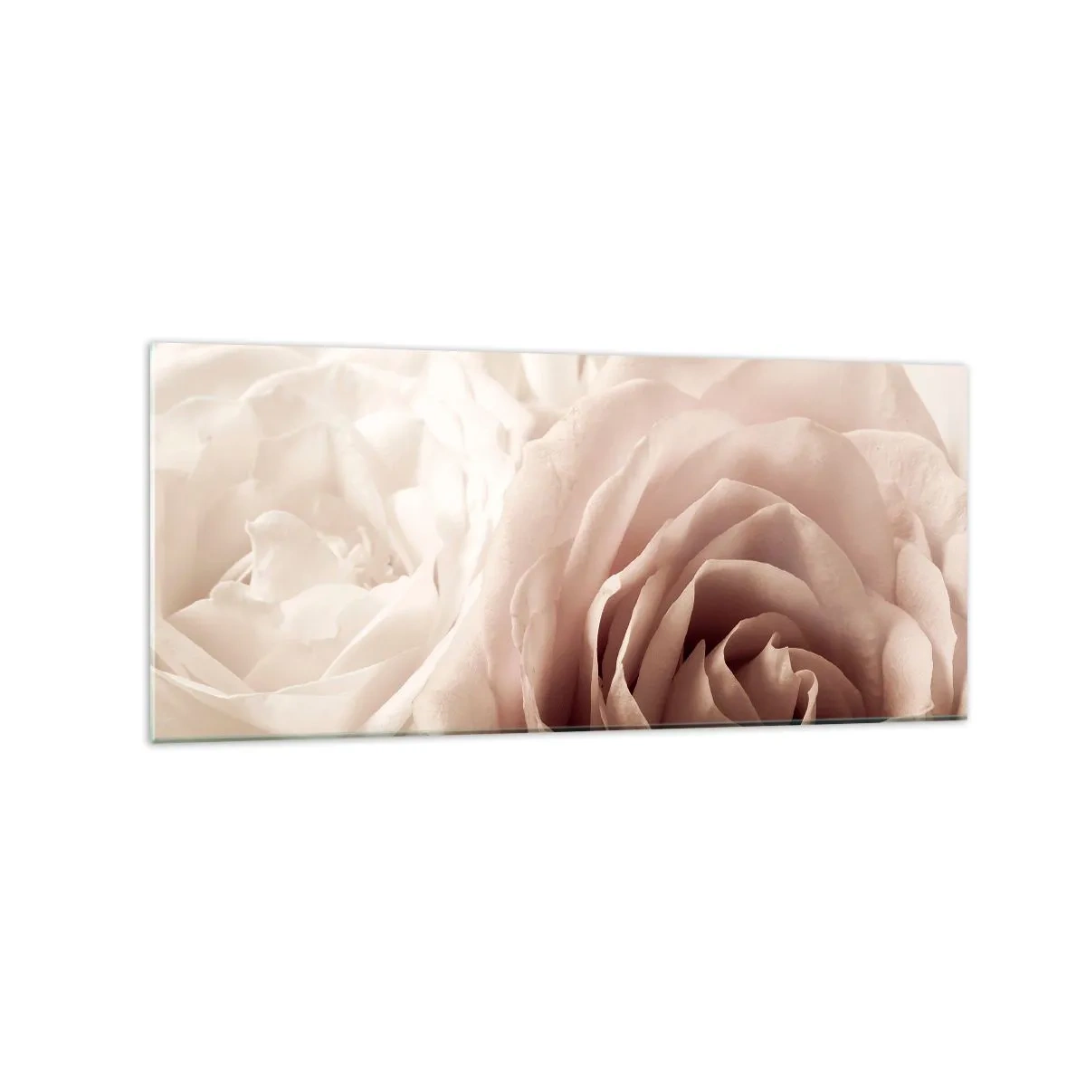 Quadro su vetro - Delicate rose in tonalità pastello del beige - 120x50cm - Nel cuore della rosa - Decorazione murale moderna per soggiorno e camera da letto ARTTOR