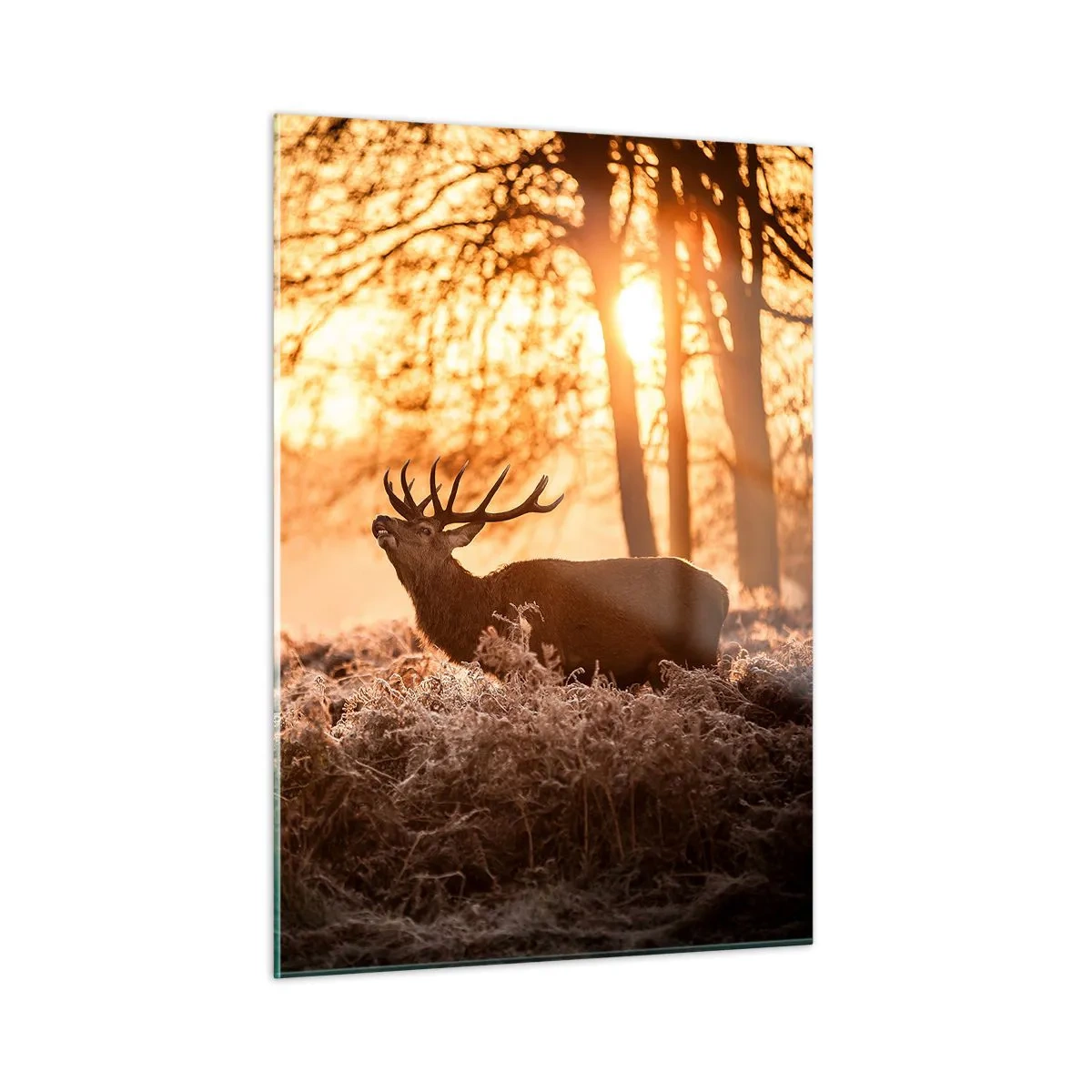 Quadro su vetro - Due cervi in una scena di foresta all'alba - 50x70cm - Il sogno del cacciatore - Decorazione murale moderna per soggiorno e camera da letto ARTTOR