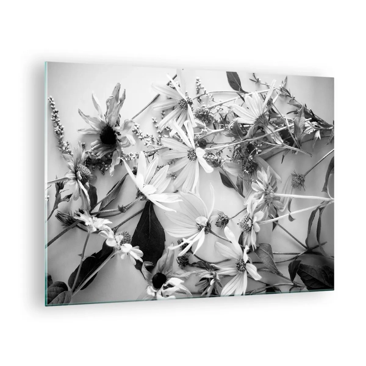 Quadro su vetro - Fiori bianchi e neri sparsi in una composizione artistica - 70x50cm - Un non bouquet di fiori - Decorazione murale moderna per soggiorno e camera da letto ARTTOR