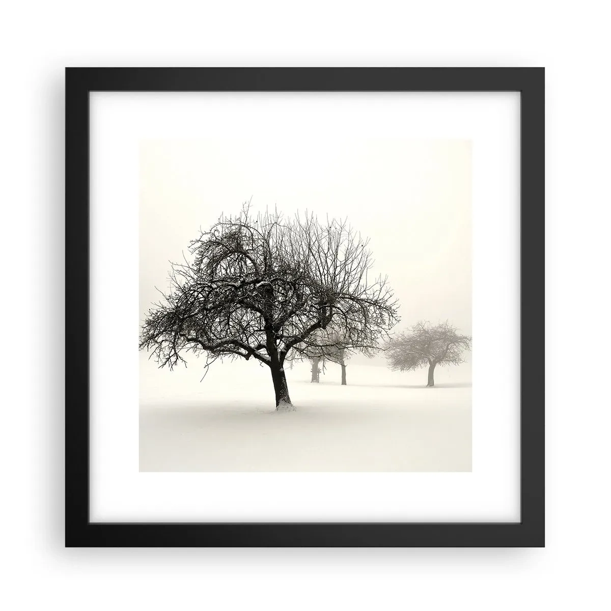 Poster in cornice nera - Sogno invernale - 30x30 cm