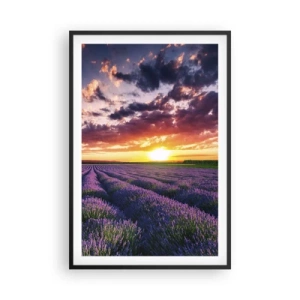 Poster in cornice nera - Il mondo della lavanda - 61x91 cm
