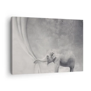 Quadro su tela - Stampe su Tela - Un elefante che scosta la tenda in una surreale ripresa in bianco e nero - 70x50cm - Svelare il mistero - Decorazione murale moderna per soggiorno e camera da letto ARTTOR