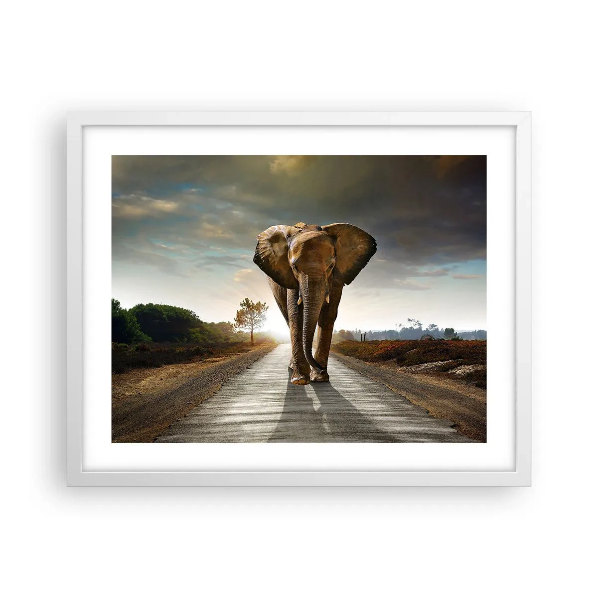 Poster in cornice bianca - E non nel negozio di cristalli - 50x40 cm