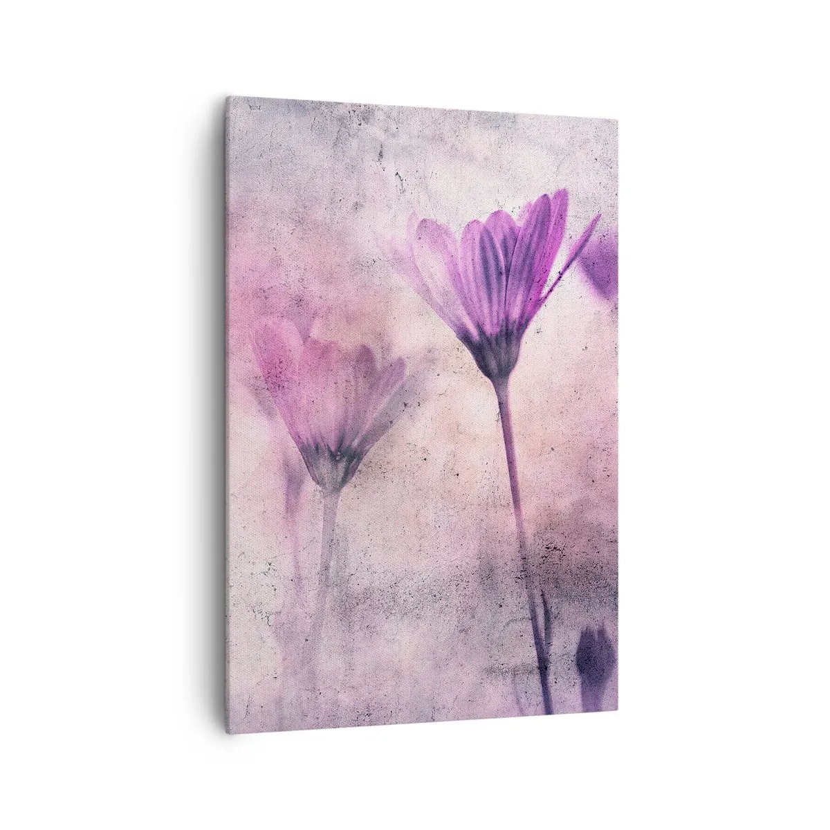 Quadro su tela - Stampe su Tela - Delicati fiori nelle tonalità del viola su uno sfondo chiaro - 70x100cm - Il sogno dei fiori - Decorazione murale moderna per soggiorno e camera da letto ARTTOR
