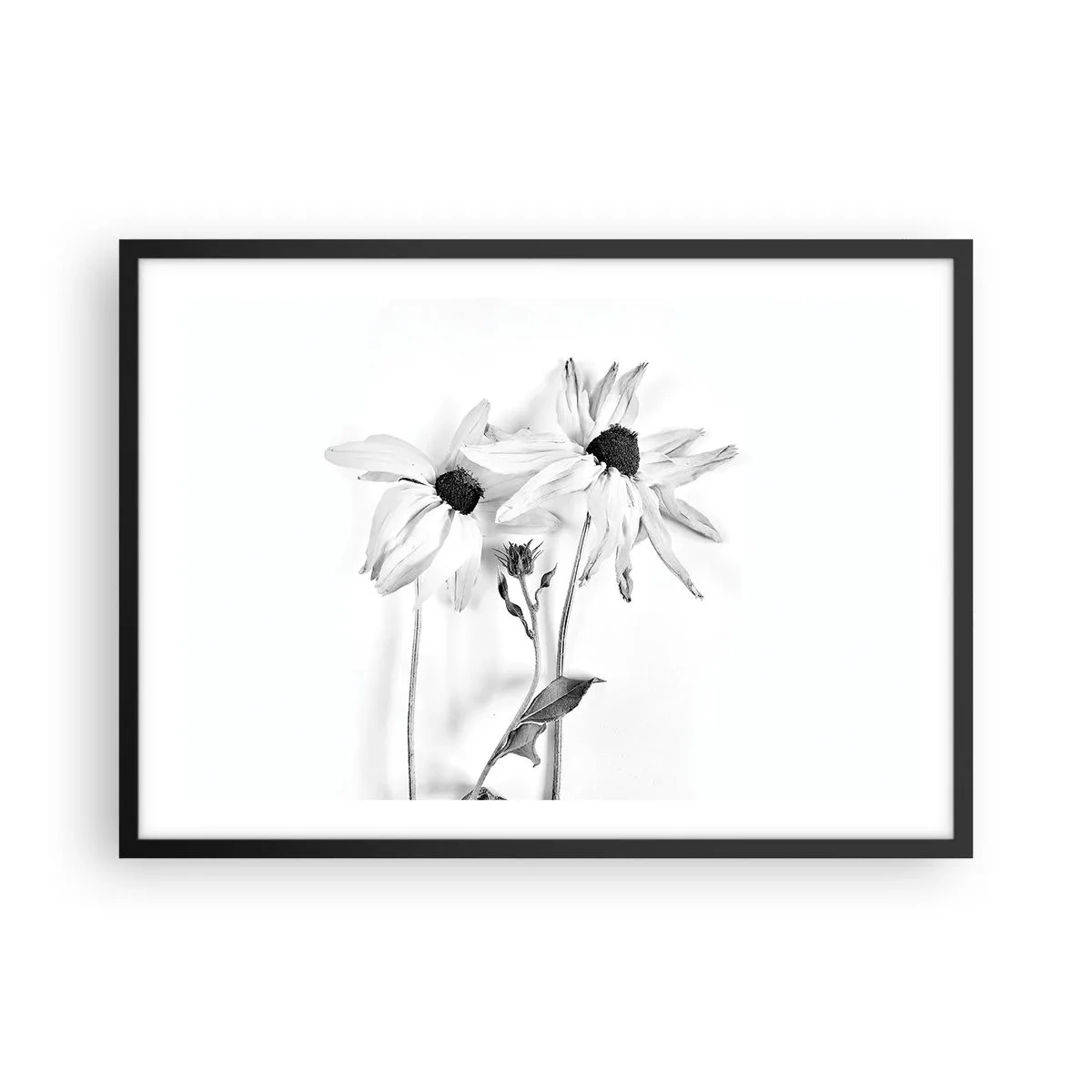 Poster in cornice nera - Fiori bianchi e neri con una composizione delicata - 70x50cm - Nessuno vuole essere solo - Decorazione murale moderna per soggiorno e camera da letto ARTTOR