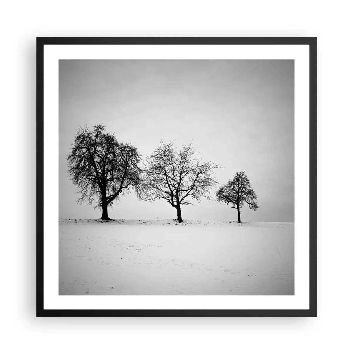 Poster in cornice nera - Cosa sognano? - 60x60 cm