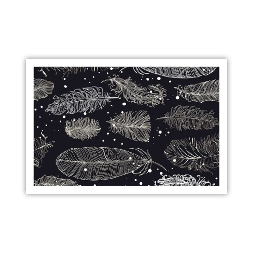 Poster - Pizzo piumato - 91x61 cm