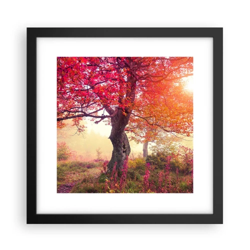Poster in cornice nera - L'esplosione della fioritura - 30x30 cm