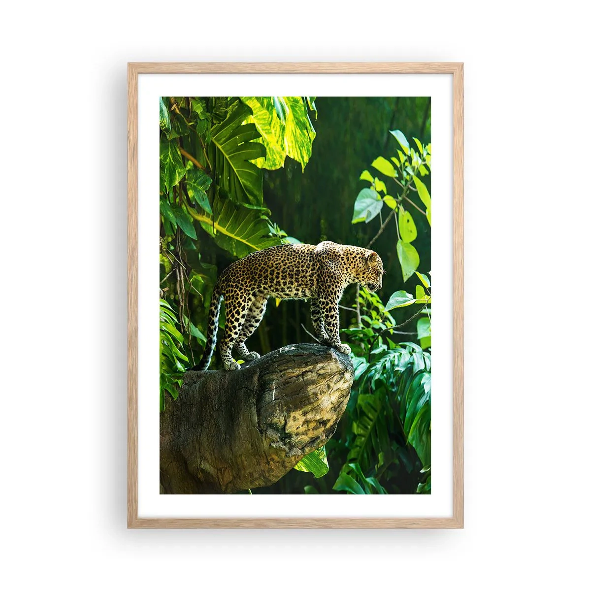 Poster in cornice rovere chiaro - A caccia? - 50x70 cm