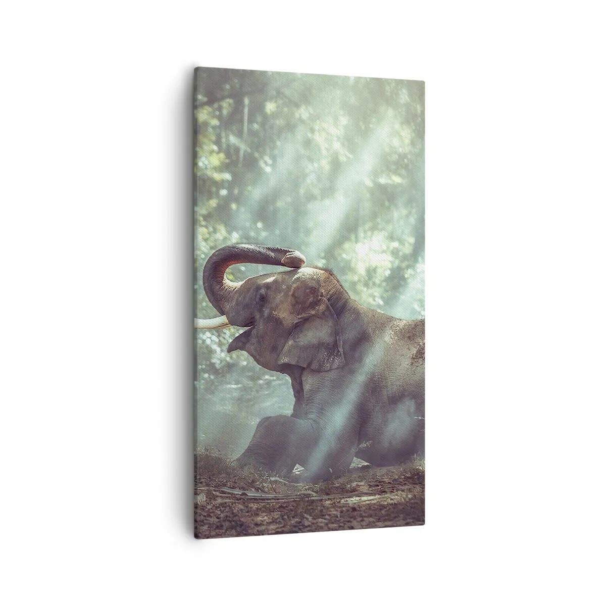 Quadro su tela - Stampe su Tela - Ascoltalo… - 55x100 cm