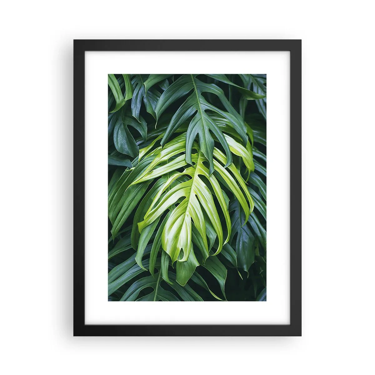 Poster in cornice nera - Immergersi nella freschezza - 30x40 cm