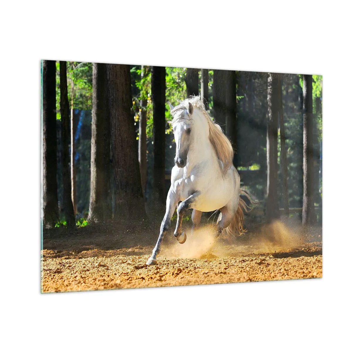 Quadro su vetro - Un cavallo bianco galoppa sul terreno sabbioso della foresta - 100x70cm - Come nei racconti fantasy - Decorazione murale moderna per soggiorno e camera da letto ARTTOR