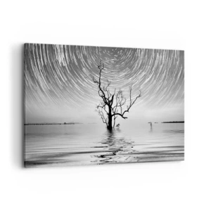 Quadro su tela - Stampe su Tela - Un albero nell'acqua sotto un cielo notturno con stelle in movimento - 100x70cm - Sinfonia della natura - Decorazione murale moderna per soggiorno e camera da letto ARTTOR
