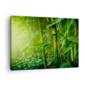 Quadro su tela - Stampe su Tela - Foresta di bambù verde in luce soffusa - 70x50cm - Conoscere il verde in sé - Decorazione murale moderna per soggiorno e camera da letto ARTTOR