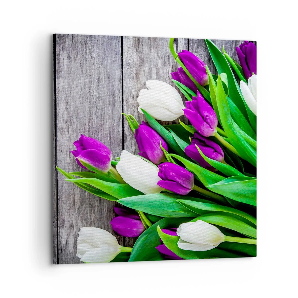 Quadro su tela - Stampe su Tela - Nella festa della primavera - 60x60 cm