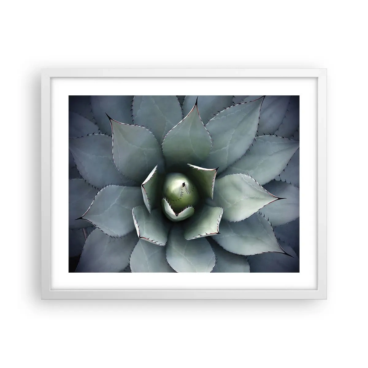 Poster in cornice bianca - Adesca e minaccia - 50x40 cm