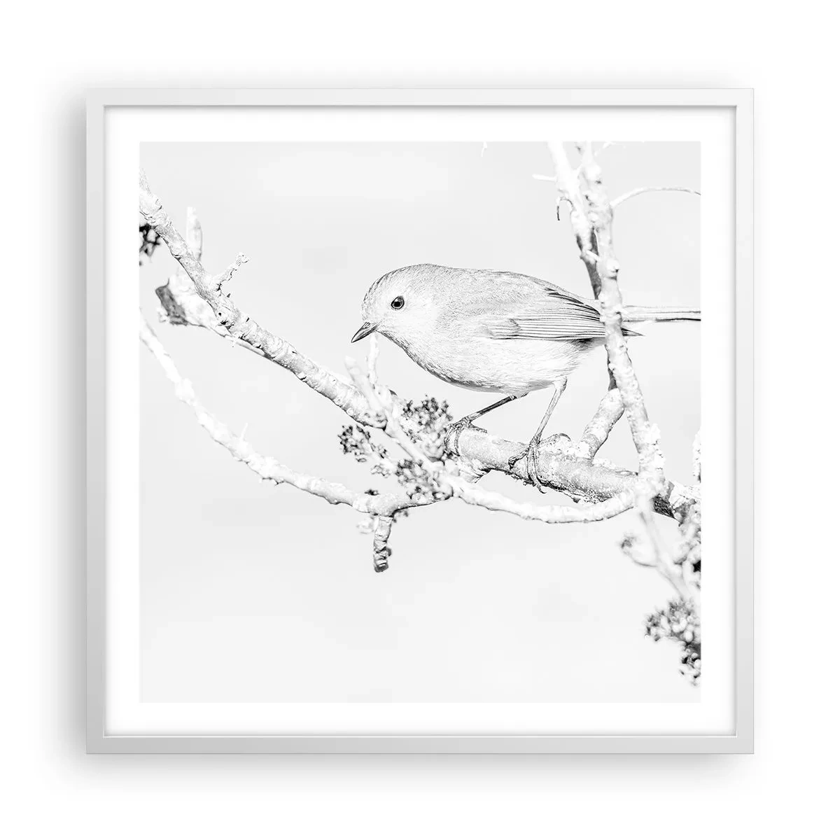 Poster in cornice bianca - Mattino invernale - 60x60 cm