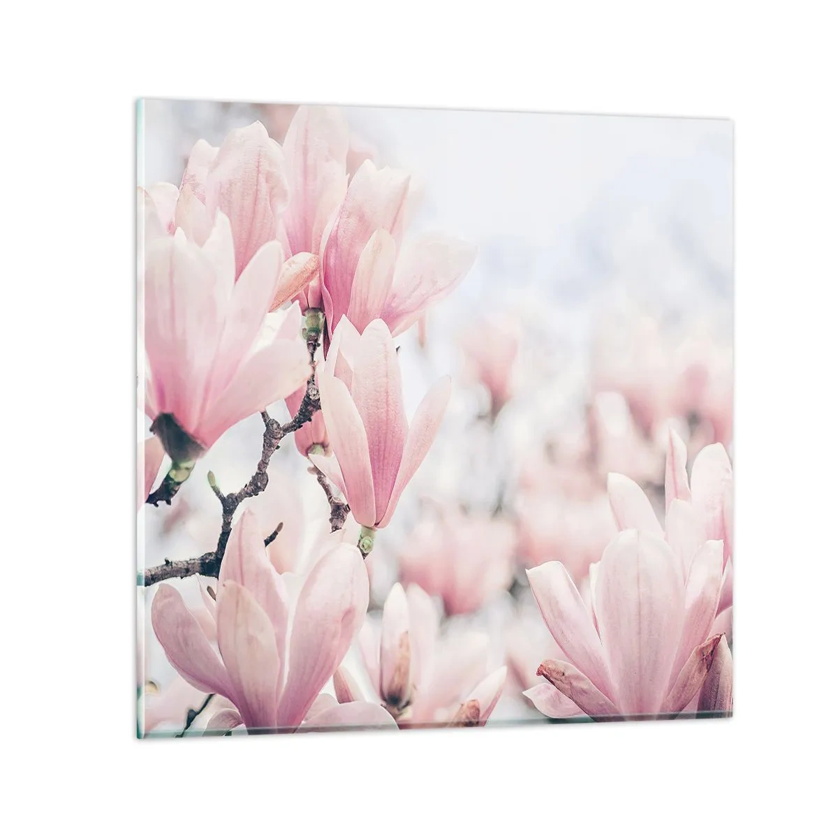 Quadro su vetro - Ideale di delicatezza - 50x50 cm
