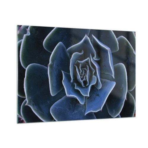 Quadro su vetro - Macrofotografia di una succulenta nelle tonalità del blu freddo - 100x70cm - Fiore del deserto - Decorazione murale moderna per soggiorno e camera da letto ARTTOR