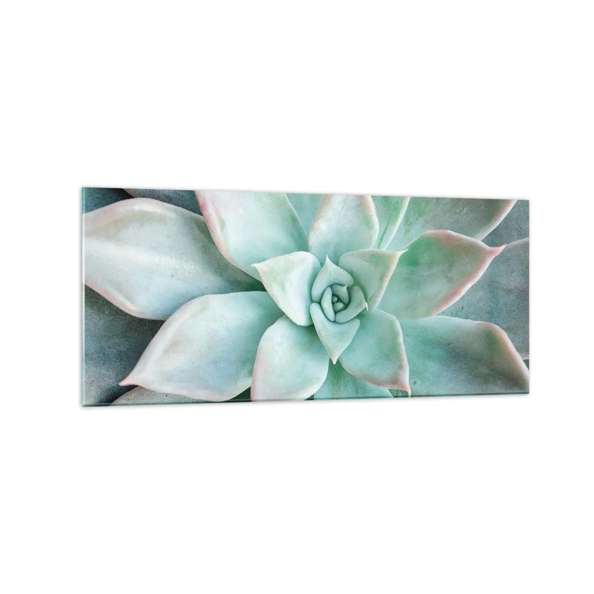 Quadro su vetro - Primo piano di una succulenta verde - 120x50cm - Il cuore del deserto - Decorazione murale moderna per soggiorno e camera da letto ARTTOR