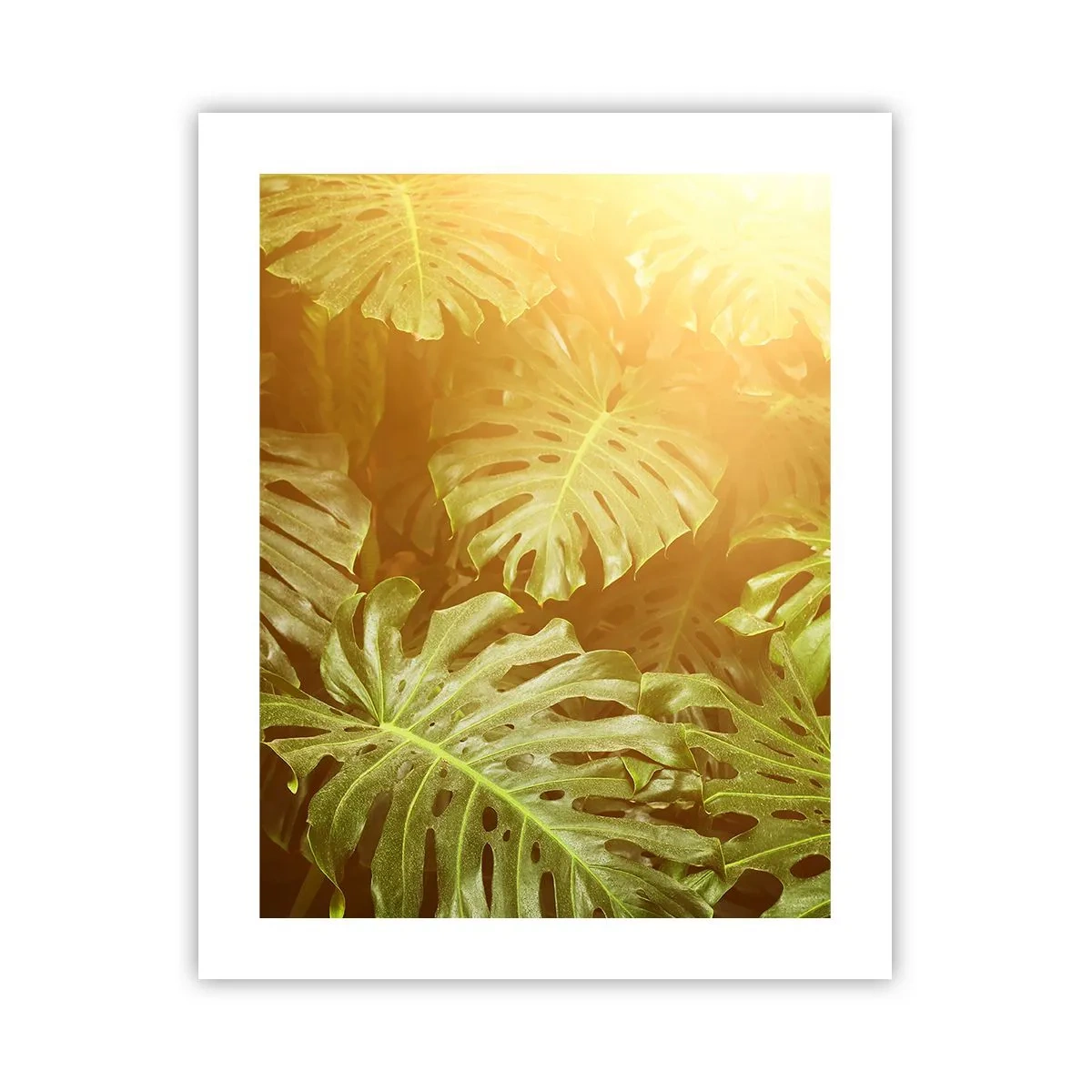 Poster - Entrando nel verde... - 40x50 cm