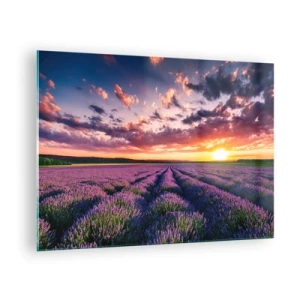 Quadro su vetro - Un campo di lavanda al tramonto con un cielo colorato e nuvole - 70x50cm - Il mondo della lavanda - Decorazione murale moderna per soggiorno e camera da letto ARTTOR