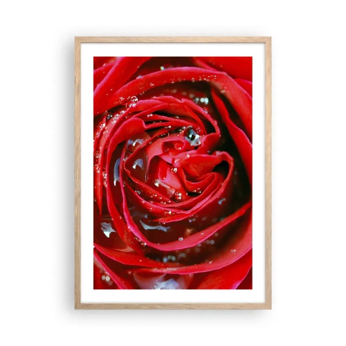 Poster in cornice rovere chiaro - Nelle gocce della rugiada - 50x70 cm