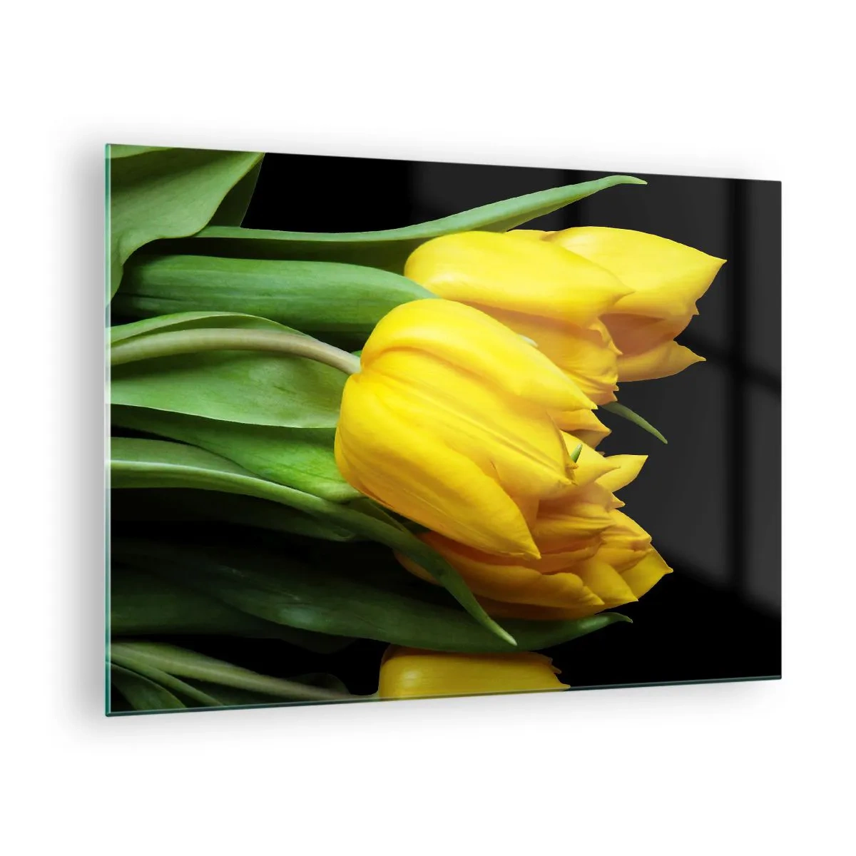 Quadro su vetro - Tulipani gialli su sfondo nero in uno scatto elegante - 70x50cm - Fatti di puro sole - Decorazione murale moderna per soggiorno e camera da letto ARTTOR