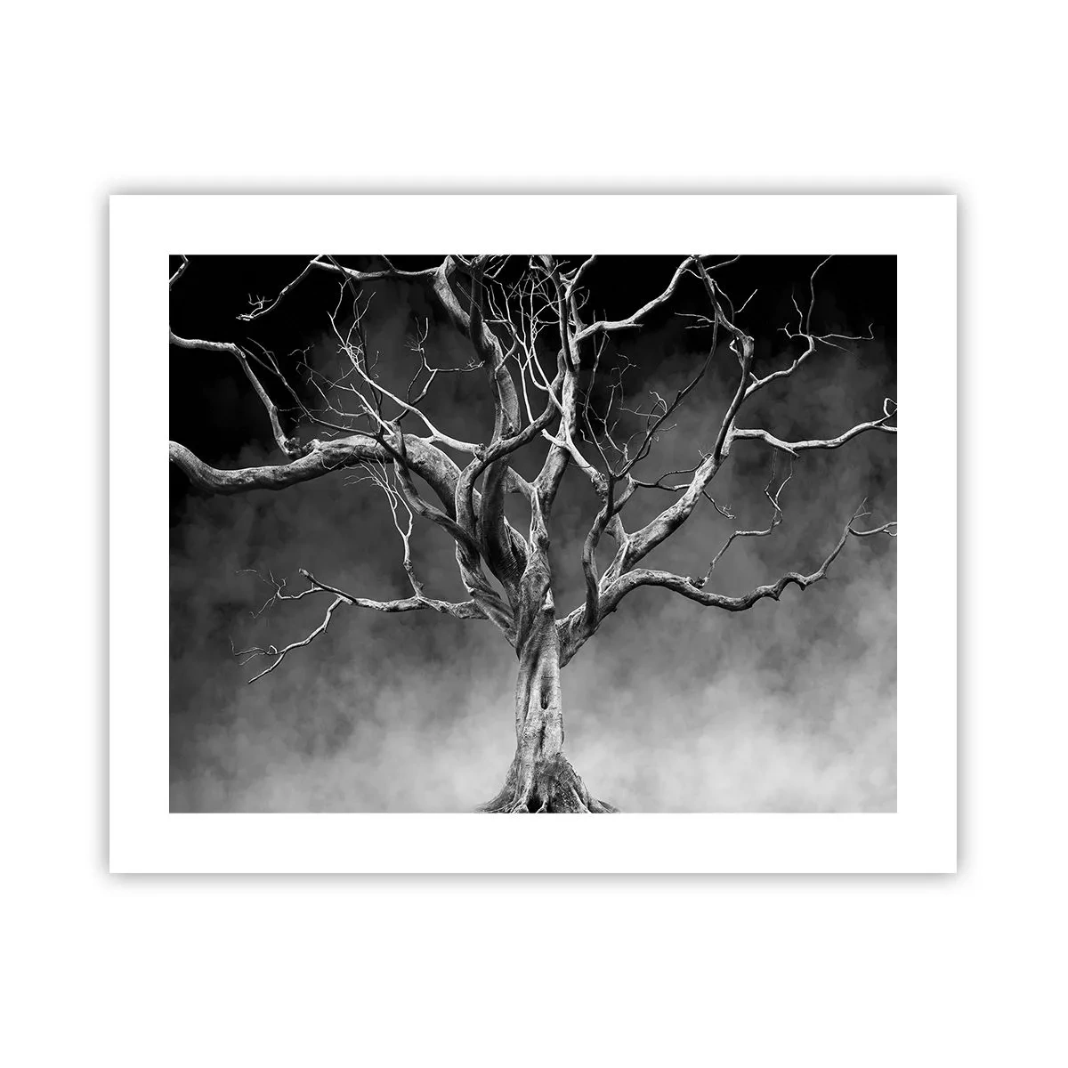 Poster - Primordiale e sacro - 50x40 cm