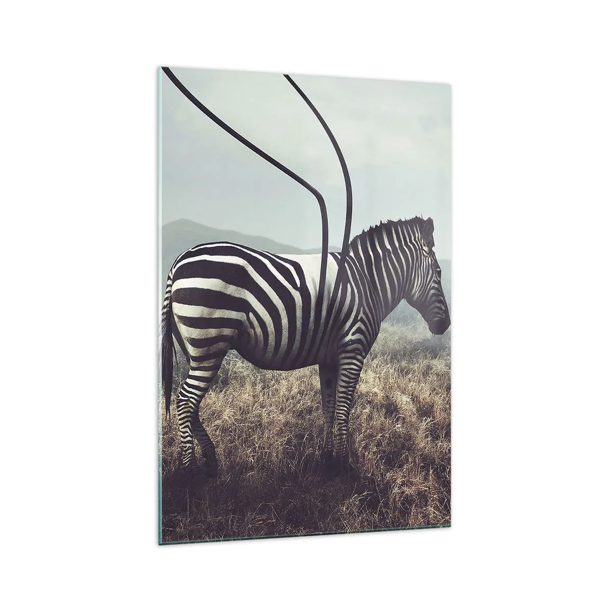 Quadro su vetro - Una zebra surreale contro un paesaggio erboso - 70x100cm - Attenzione! Difetto - Decorazione murale moderna per soggiorno e camera da letto ARTTOR