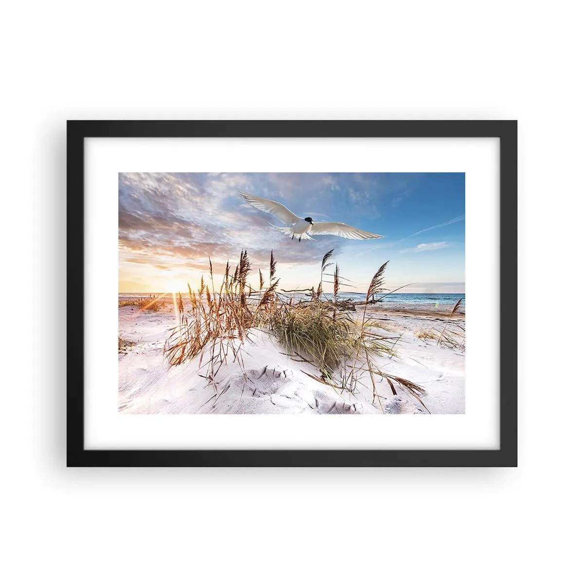 Poster in cornice nera - Vento dal mare - 40x30 cm