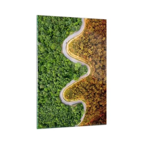 Quadro su vetro - Una strada tortuosa attraverso la foresta vista da una prospettiva a volo d'uccello - 80x120cm - Confine e separazione - Decorazione murale moderna per soggiorno e camera da letto ARTTOR