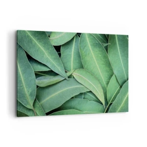 Quadro su tela - Stampe su Tela - Primo piano di foglie verdi che creano un motivo naturale - 120x80cm - Succosi e freschi - Decorazione murale moderna per soggiorno e camera da letto ARTTOR